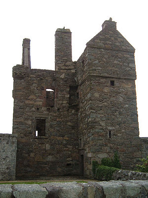 Carsluith Castle Dumfries & Galloway.jpg