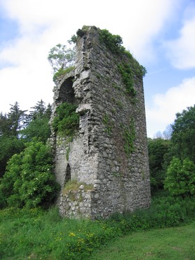 Ballylough Castle.jpg