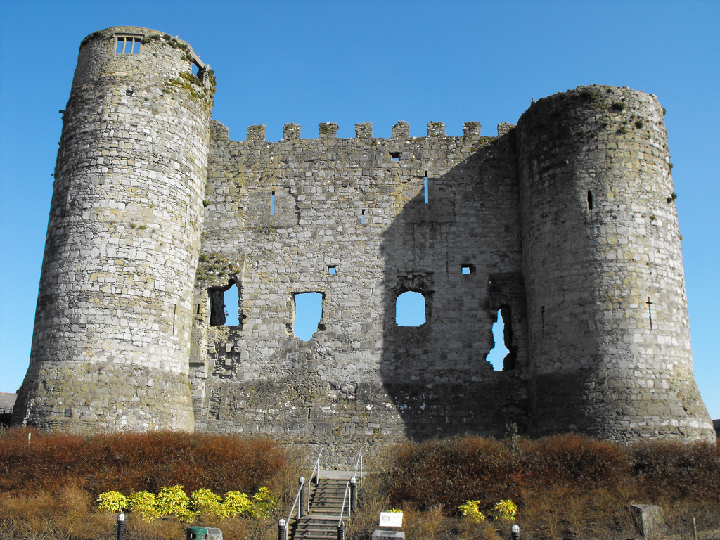 Carlow Castle Co Carlow.jpg