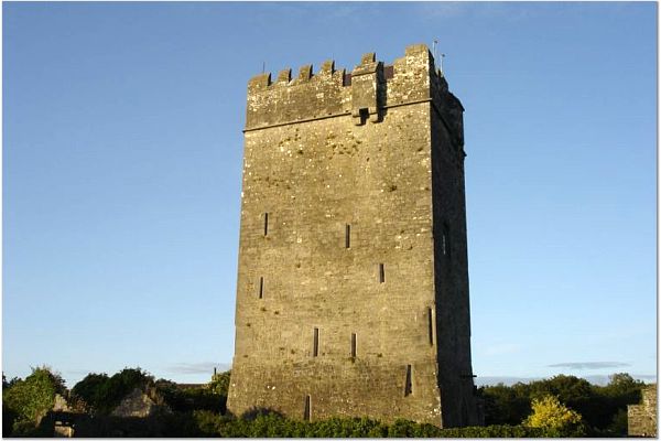 Ballyhannon-Castle.jpg