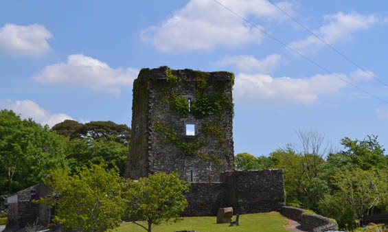 Carriganass-Castle Co Cork.jpg