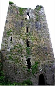 Kilcrea Castle Co Cork.jpg
