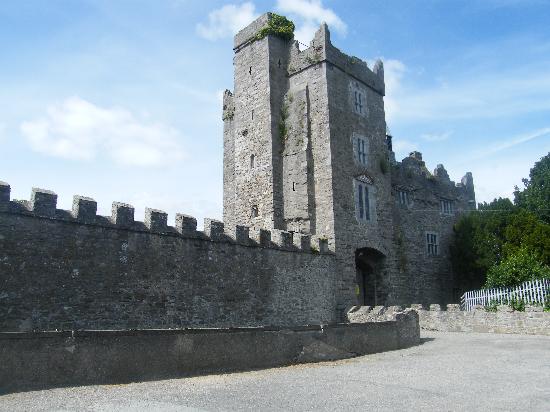 drimnagh-castle Co Dublin.jpg