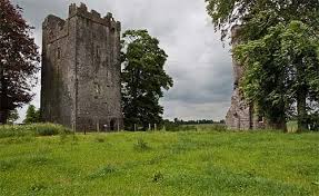 Burnchurch Castle Co Kilkenny.jpg