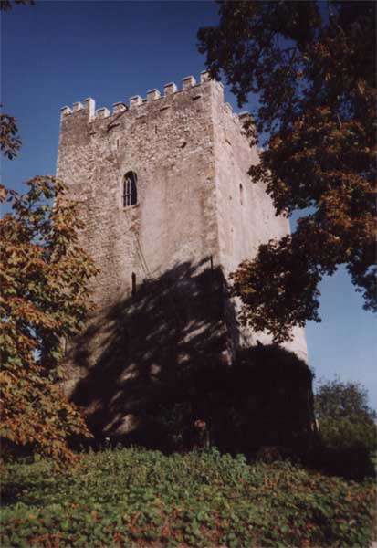 Ballaghmore Castle Co Laois.jpg