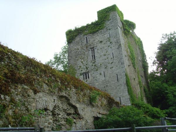 Bourchier's Castle Co Limerick.jpg