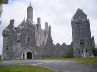 Dromore Castle Co Limerick.jpg