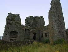 Blundell Castle Co Offaly.jpg
