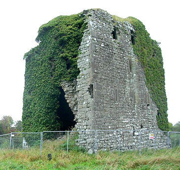Ballyfinboy Castle Co Tipperary.jpeg