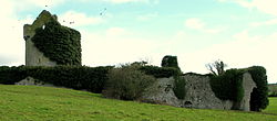 Moorstown_Castle  Co Tipperary.JPG