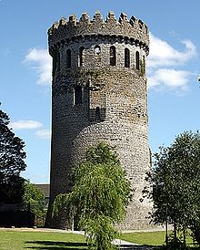 Nenagh_Castle Co Tipperary.jpg