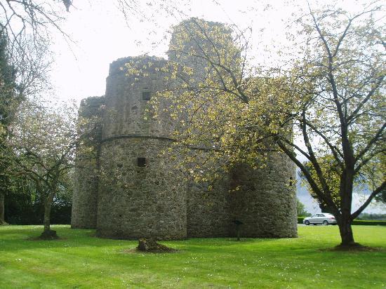 Roughan Castle Co Tyrone.jpg
